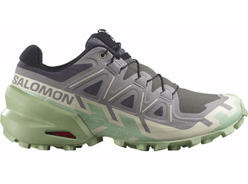 Chaussure Salomon Speedcross 6 W Gris/Vert