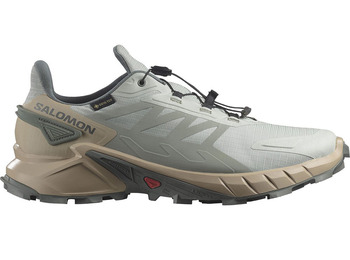 Chaussure Salomon Supercross 4 GTX Beige/Métal