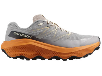 Chaussure Salomon Ultra Flow 2 GTX Gris/Orange