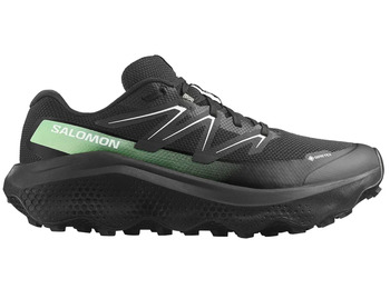 Chaussure Salomon Ultra Flow 2 GTX Noir/Vert
