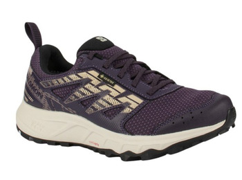 Chaussure Salomon Wander GTX W Violet