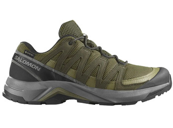 Chaussures Salomon X-Adventure Recon GTX vertes