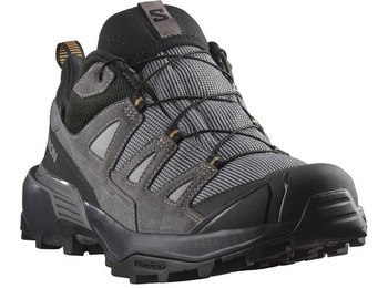 Chaussure Salomon X Ultra 360 Ltr Gtx Gris