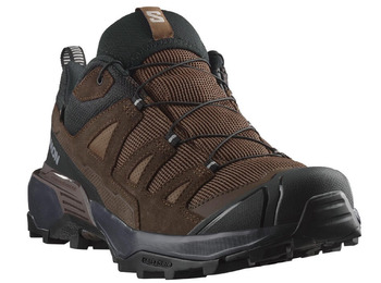 Chaussure Salomon X Ultra 360 Ltr Gtx Marron