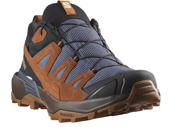 Chaussure Salomon X Ultra 360 Ltr Gtx Marron/Indigo