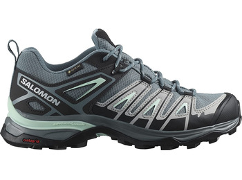 Chaussure Salomon X Ultra Pioneer GTX W Gris