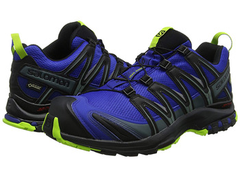 Zapatillas Salomon XA PRO 3D GTX Bleu/Négro/Lima