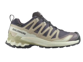Chaussure Salomon XA PRO 3D GTX Violet/Beige
