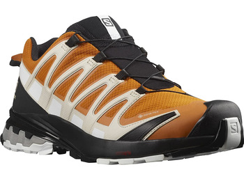 Chaussure Salomon XA PRO 3D v8 GTX Orange / Beige