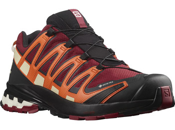 Chaussure Salomon XA PRO 3D V8 GTX Orange / Carrelage