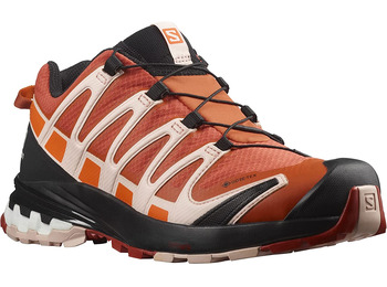 Chaussure Salomon XA PRO 3D V8 GTX W Saumon