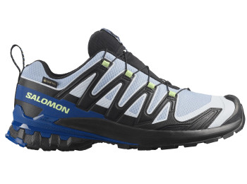 Zapatilla Salomon XA PRO 3D V9 GTX ICON Noir/Hielo