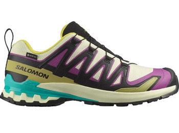 Chaussure Salomon XA PRO 3D V9 GTX Multicolore