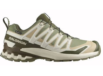 Chaussure Salomon XA PRO 3D V9 GTX Vert/Beige