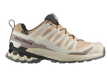 Chaussure de course Salomon XA Pro 3D V9 GTX W Beige/Marron