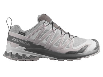 Zapatilla Salomon XA PRO 3D V9 GTX W Gris