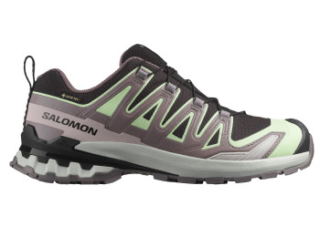 Zapatilla Salomon XA PRO 3D V9 GTX W Noir/Vert