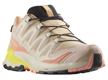 Chaussure Salomon XA PRO 3D V9 W GTX Beige/Rose