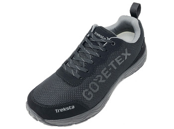 Chaussure Treksta Olympus Low GTX Noir