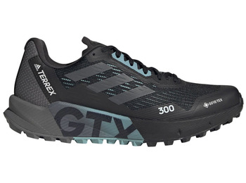 Adidas Terrex Agravic Flow 2 GTX W Chaussures