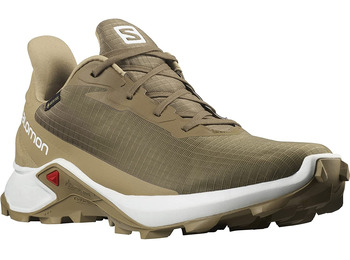 Chaussures Salomon Alphacross 3 GTX Marron / Beige