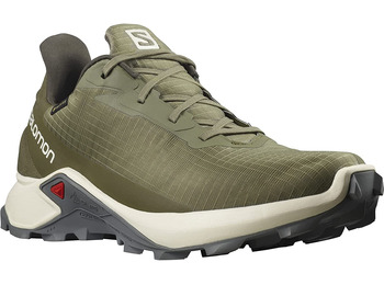 Chaussures Salomon Alphacross 3 GTX Vert