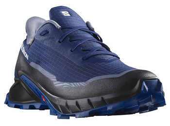 Chaussures Salomon Alphacross 5 GTX bleu