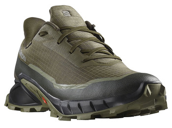 Chaussures Salomon Alphacross 5 GTX vert olive