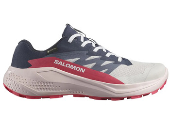 Baskets Salomon Alphaglide GTX W Gris/Noir/Fuchsia