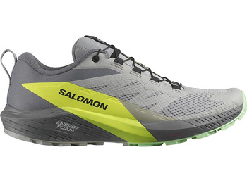 Chaussures Salomon Sense Ride 5 Gris/Lime