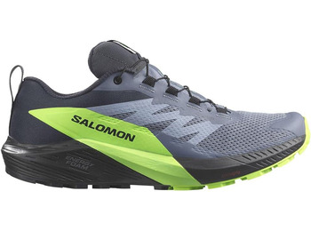 Chaussures Salomon Sense Ride 5 GTX Gris/Vert/Noir