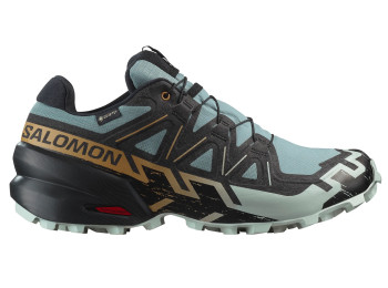 Zapatillas Salomon Speedcross 6 GTX Gris/Noir/Oro