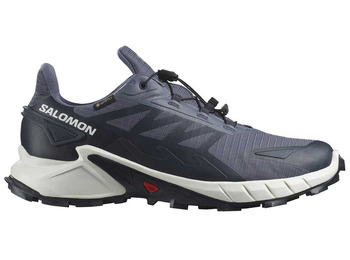 Chaussures Salomon Supercross 4 GTX Gris