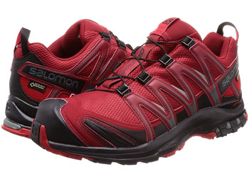 Zapatillas Salomon XA PRO 3D GTX Rouge foncé/noir