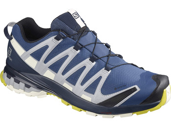 Zapatillas Salomon XA PRO 3D V8 GTX Bleu