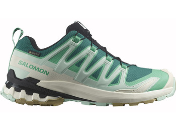 Chaussures Salomon XA PRO 3D V9 GTX W Vert/Aqua