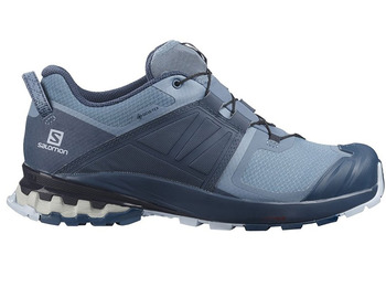 Chaussures Salomon XA Wild GTX W gris bleu