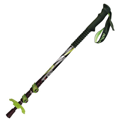 Canne Altus Baobab Noir / Vert