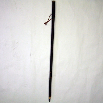 Bâton de pèlerin Garçon alezan corteza