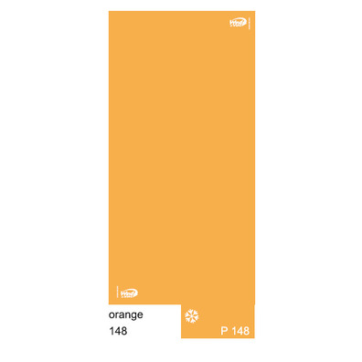 Braga Vent Polarwind Orange WP148