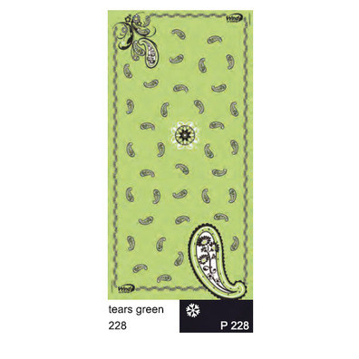 Braga Wind Tears Vert 1228