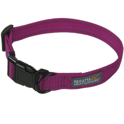 Collier chien Regatta Comfort
