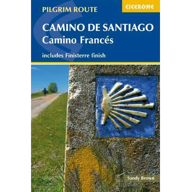 Route des pèlerins Camino de Santiago - Chemin français brun sablonneux