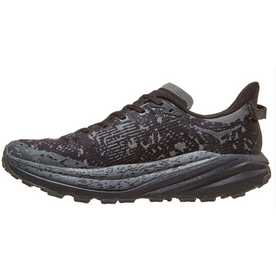 Chaussure Hoka Speedgoat 6 GTX Noir/Gris