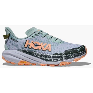 Chaussures Hoka Speedgoat 6 GTX W Jade/Corail