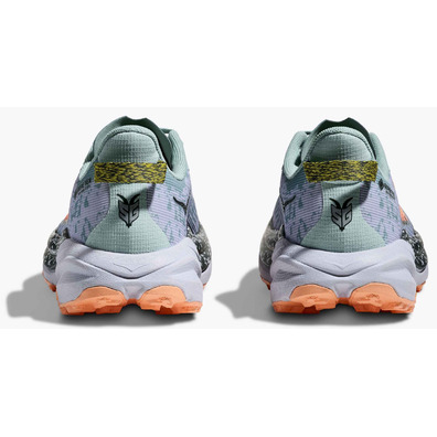 Chaussures Hoka Speedgoat 6 GTX W Jade/Corail