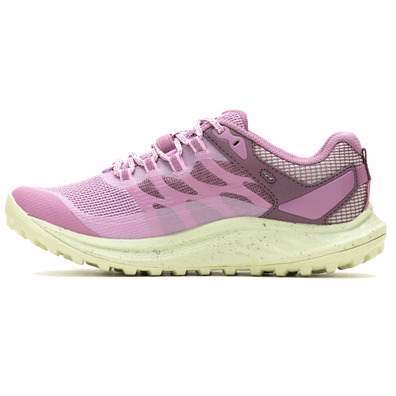 Baskets Merrell Antora 3 GTX W Mauve/Vert