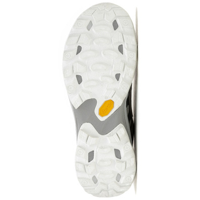 Baskets Merrell Moab Speed 2 GTX W Gris