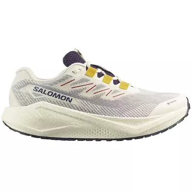 Chaussure Salomon Aero Blaze 3 GRVL GTX W blanche/bleue