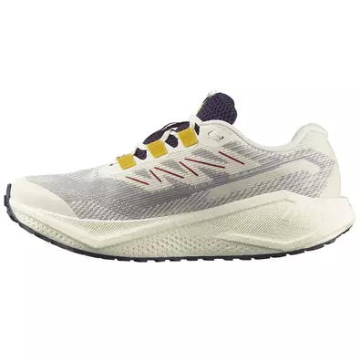 Chaussure Salomon Aero Blaze 3 GRVL GTX W blanche/bleue